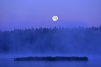 Fullmåne över Ålsjön, Regna