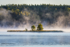 D3902-25-Hostmorgon-vid-Alsjon