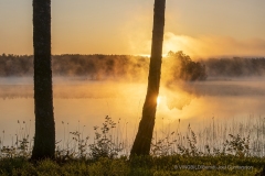 Vårmorgon vid Ålsjön