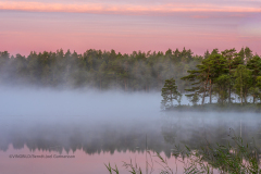 D873-26-Tidig-morgon-vid-Holmsjon